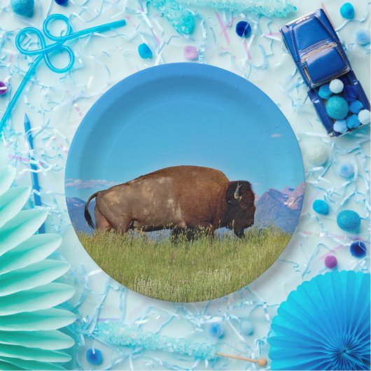 Buffalo Paper Tellers Pappteller (Party)