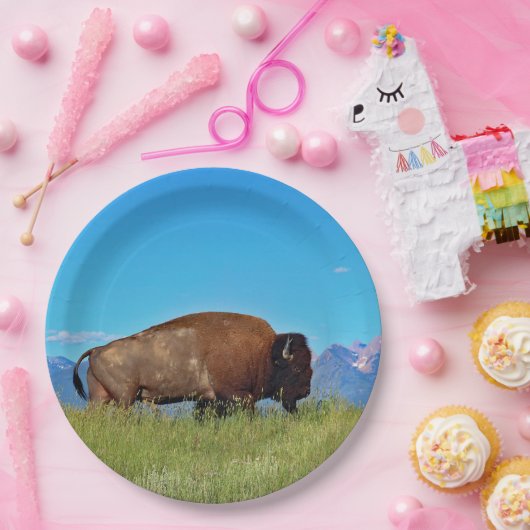 Buffalo Paper Tellers Pappteller (Party)