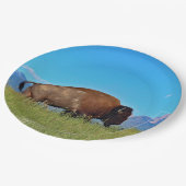 Buffalo Paper Tellers Pappteller (Schrägansicht)