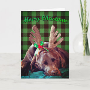 Buffalo Plaid Labrador Wearing Antlers Photograph Feiertagskarte