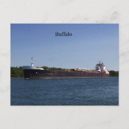 Buffalo Postcard Postkarte