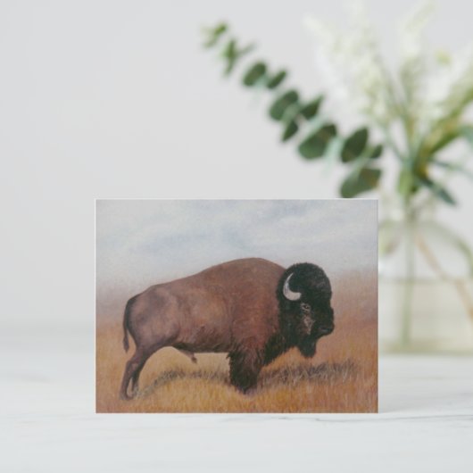 Buffalo Postcard Postkarte (Stehend Vorderseite)