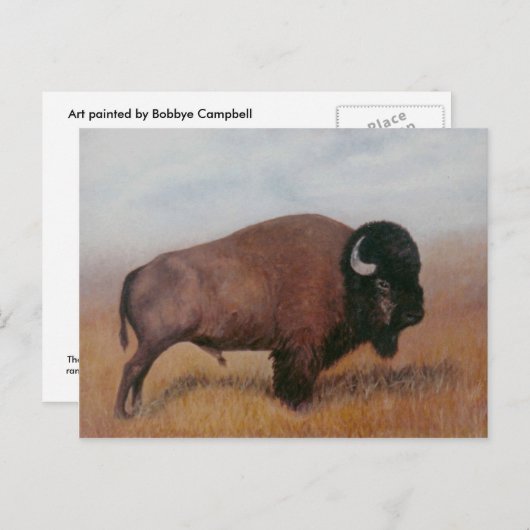 Buffalo Postcard Postkarte (Vorne/Hinten)