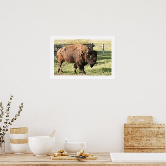 Buffalo Poster (Küche)