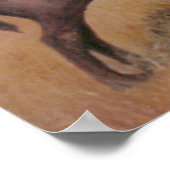 Buffalo Poster (Ecke)