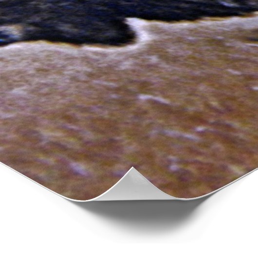 Buffalo Poster (Ecke)