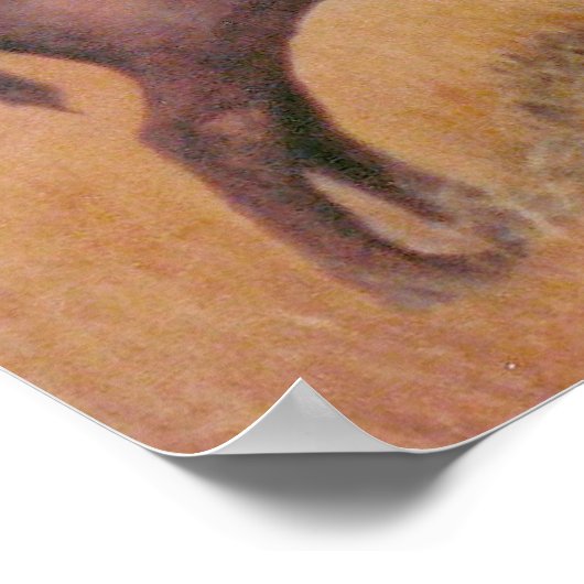 Buffalo Poster (Ecke)