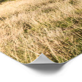 Buffalo Poster (Ecke)