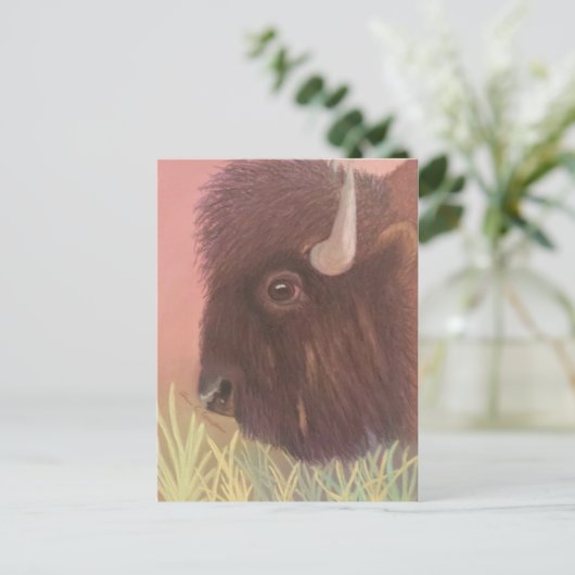 Buffalo Postkarte (Stehend Vorderseite)