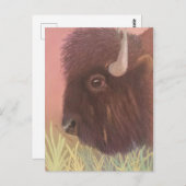 Buffalo Postkarte (Vorne/Hinten)