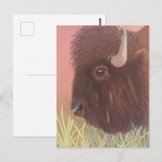 Buffalo Postkarte (Vorne/Hinten)