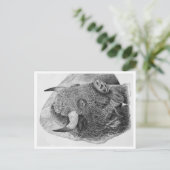 Buffalo Postkarte (Stehend Vorderseite)