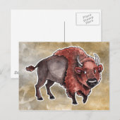 Buffalo Postkarte (Vorne/Hinten)