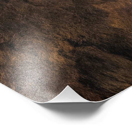 Buffalo-Profil Fotodruck (Ecke)