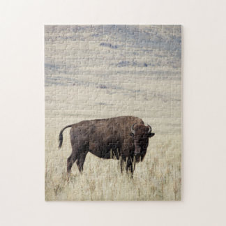 Buffalo-Puzzle Puzzle
