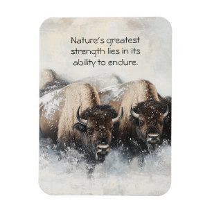 Buffalo Resilienz: Schneesturm-Magnet Magnet