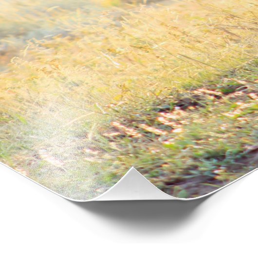 Buffalo Running Foto Print (Ecke)