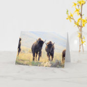 Buffalo Running Grußkarte Karte (Gelbe Blume)