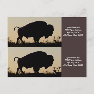 Buffalo Silhouette Bookmarkers Postkarte