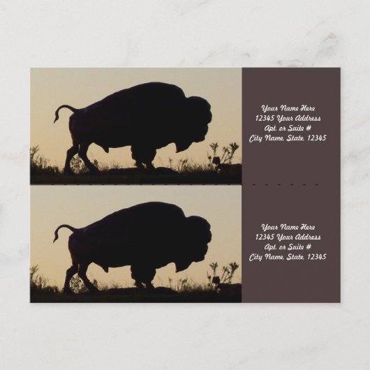 Buffalo Silhouette Bookmarkers Postkarte (Vorderseite)
