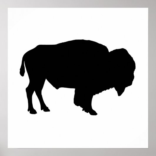 Buffalo Silhouette Poster (Vorne)