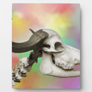 Buffalo Skull auf einem Aquarellbild Fotoplatte