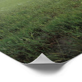 Buffalo Skull in Prairie Grass bei Medora Poster (Ecke)