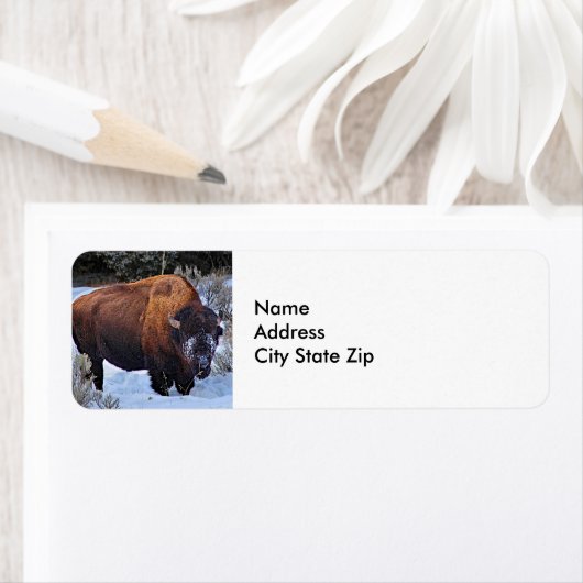 Buffalo Snow Foto (Insitu)