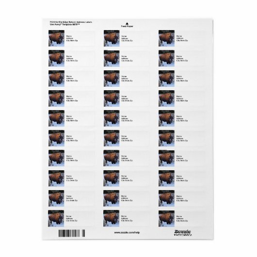 Buffalo Snow Foto (Vorne)