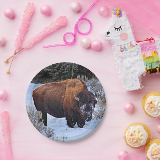 Buffalo Snow Foto Pappteller (Party)