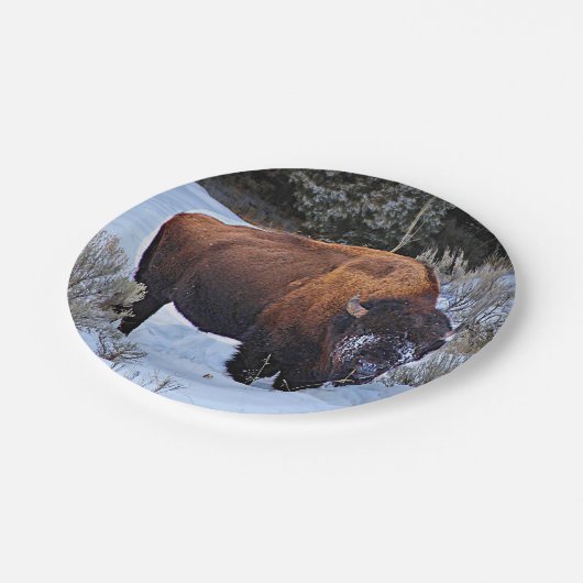 Buffalo Snow Foto Pappteller (Schrägansicht)