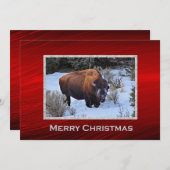 Buffalo Snow Foto Weihnachtswohnung Feiertagskarte (Vorne/Hinten)