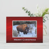Buffalo Snow Foto Weihnachtswohnung Feiertagskarte (Stehend Vorderseite)