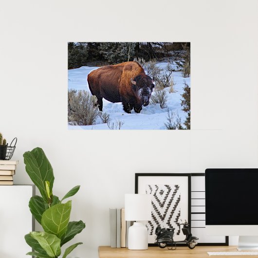 Buffalo Snow Photo Poster (Heimbüro)