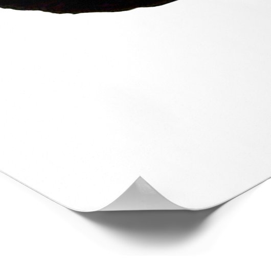 Buffalo Spirit Poster (Ecke)