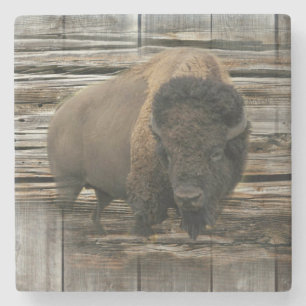 Buffalo Steinuntersetzer