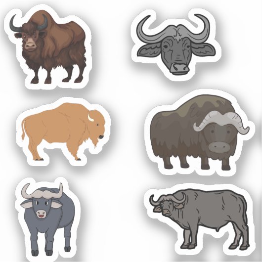 Buffalo Stickers Aufkleber (Vorderseite)