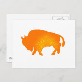 Buffalo Sun Postkarte (Vorne/Hinten)