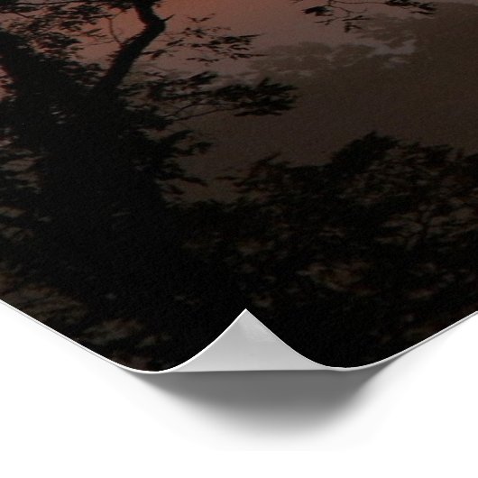 Buffalo Sunrise Poster (Ecke)