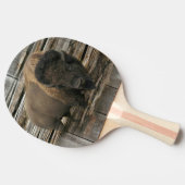Buffalo Tischtennis Schläger (Seitenansicht)