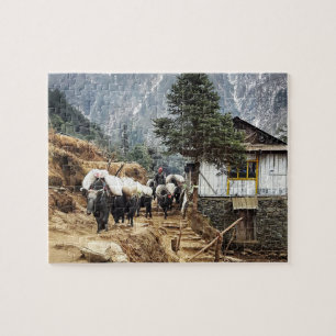 Buffalo-Transport, Blick auf den Everest-Pfad - Ne Puzzle
