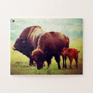 Buffalo und Kalb Oklahoma Puzzle