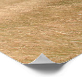 Buffalo unter Akazienbaum Poster (Ecke)