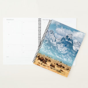 Buffalo Unterhalb des Grand Teton Mountains Planer
