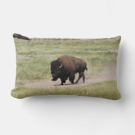 Buffalo unterwegs, Fotografie Lendenkissen