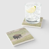 Buffalo unterwegs, Fotografie Steinuntersetzer (Seitenansicht)