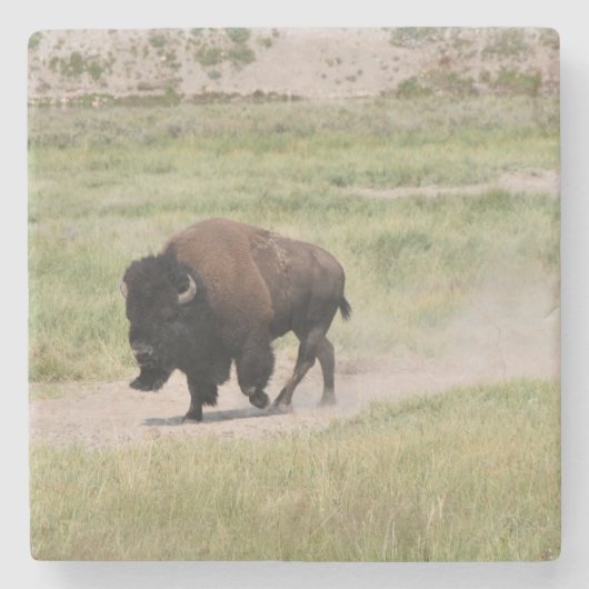 Buffalo unterwegs, Fotografie Steinuntersetzer (Vorderseite)