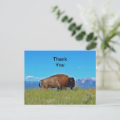 Buffalo Vielen Dank Postcard Postkarte (Stehend Vorderseite)