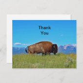 Buffalo Vielen Dank Postcard Postkarte (Vorne/Hinten)