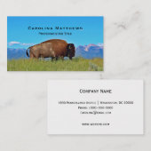 Buffalo Visitenkarte (Vorne/Hinten)